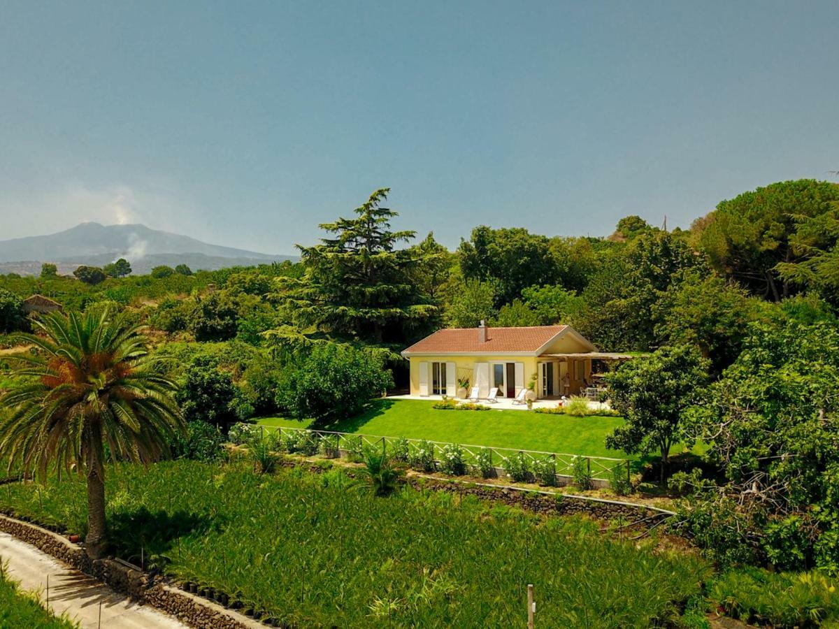 Villa Palm Hill Piedimonte Etneo Exterior photo